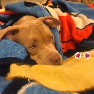 Meet your Posher, Alejandra